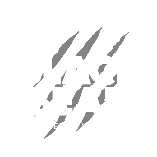 Black Bear Protective Films Brand Logo professional film services Indian Land SC