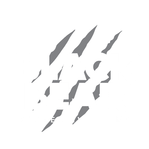 Black Bear Protective Films Brand Logo professional film services Indian Land SC